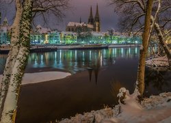 Regensburg, Miasto Ratyzbona, Rzeka Dunaj, Domy, Katedra Św. Piotra, Kościół, Drzewa, Zima, Bawaria, Niemcy