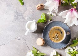 Kawa i mleko obok kwiatów magnolii