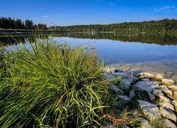 Kępa trawy i kamienie przy brzegu jeziora