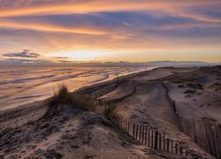 Kępki suchej trawy na plaży o wschodzie słońca