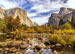 Kępki traw i kamienie na rzece w Parku Narodowym Yosemite