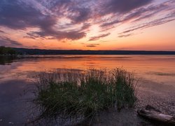 Kępki traw na brzegu jeziora o zachodzie słońca