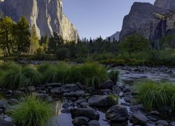 Kępki traw na rzece Merced w dolinie Yosemite Valley