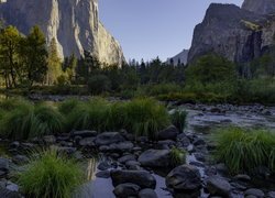 Park Narodowy Yosemite, Góry Sierra Nevada, Rzeka, Merced River, Dolina, Yosemite Valley, Kępki, Trawy, Kamienie, Drzewa, Kalifornia, Stany Zjednoczone