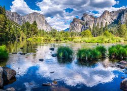 Kępki traw na rzece Merced w Parku Narodowym Yosemite