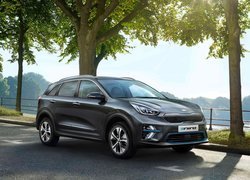 Kia e-Niro, Elektryczny, Samochód