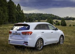 Kia Sorento SXL na łące