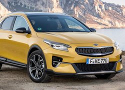 Kia XCeed, 2019