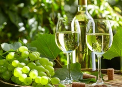 Kiście winogron obok kieliszków z białym winem
