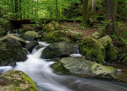 Lato, Las, Omszałe, Kamienie, Strumyk, Kładka