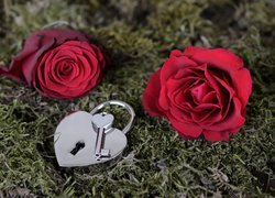 Kłódka z kluczem obok róż na trawie