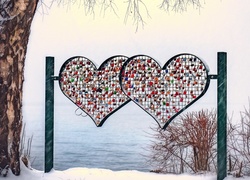Kłódki na bramie w kształcie serc nad zimowym jeziorem