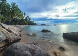 Tajlandia, Ocean Spokojny, Zatoka Tajlandzka, Prowincja Surat Thani, wyspa Ko Tao, Morze, Kamienie, Palmy