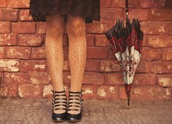 Nogi, Kobieta, Parasol, Mur, Kwiaty
