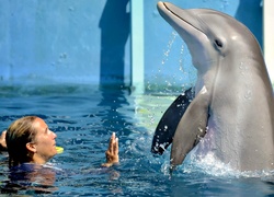 Kobieta i delfin w wodzie