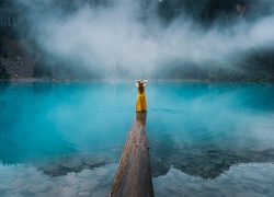Kobieta stojaca na kłodzie w zamglonym jeziorze
