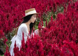 Kobieta w kapeluszu na polu czerwonej celozji