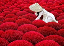 Kobieta w kapeluszu pośród czerwonych roślin