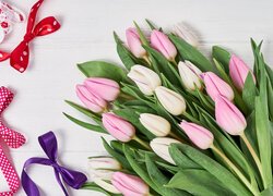 Kokardy obok białych i różowych tulipanów