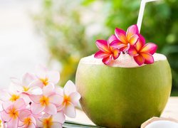 Kwiat, Plumeria, Kokos, Słomka