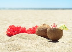 Kokosy na piasku