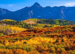 Góry, San Juan Mountains, Przełęcz, Dallas Divide, Jesień, Lasy, Drzewa, Kolorado, Stany Zjednoczone