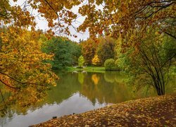 Park, Staw, Drzewa, Liście, Most, Chmury, Jesień