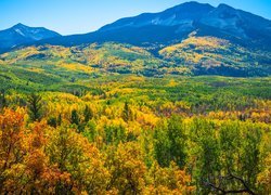 Stany Zjednoczone, Kolorado, Przełęcz Kebler Pass, Góry, Drzewa, Roślinność, Lasy, Jesień