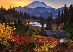 Zachód słońca, Stratowulkan Mount Rainier, Jezioro, Tipsoo Lake, Waszyngton, Stany Zjednoczone, Drzewa, Skała, Krzewy, Góry