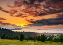 Góry, Lasy, Drzewa, Pole, Chmury, Wschód słońca