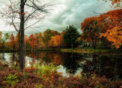 Kolorowe drzewa i dom nad stawem jesienią