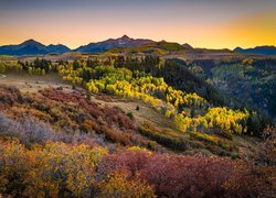 Stany Zjednoczone, Stan Kolorado, Telluride, Góry, San Juan Mountains, Góra, Wilson Peak, Las, Jesień, Góry, Drzewa, Krzewy