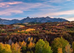 Kolorowe drzewa na tle gór San Juan Mountains