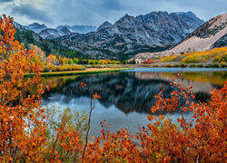 Stany Zjednoczone, Kalifornia, Sierra Nevada Mountains, Góry, Jezioro, Drzewa, Liście, Gałęzie, Chmury, Jesień