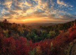 Jesień, Lasy, Kolorowe, Drzewa, Zachód słońca, Chmury