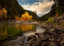 Kolorowe drzewa nad rzeką jesienią
