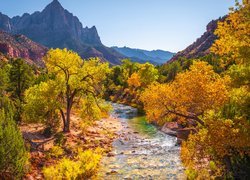Park Narodowy Zion, Góry Watchman, Rzeka Virgin River, Kamienie, Drzewa, Jesień, Stan Utah, Stany Zjednoczone
