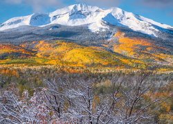 Kolorowe drzewa pod ośnieżonymi górami San Juan Mountains