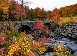 Jesień, Kolorowe, Drzewa, Kamienny, Most, Rzeka