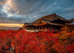 Japonia, Kioto, Dzielnica Higashiyama, Świątynia, Kiyomizu-dera, Jesień, Drzewa, Promienie słońca