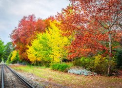 Kolorowe drzewa przy torach kolejowych jesienną porą