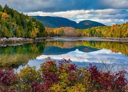 Stany Zjednoczone, Stan Maine, Park Narodowy Acadia, Jezioro, Jordan Pond, Lasy, Roślinność, Góry, Bubble Mountains