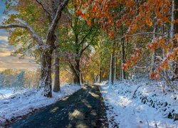 Jesień, Drzewa, Śnieg, Droga