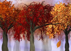 Jesień, Kolorowe, Drzewa, 2D