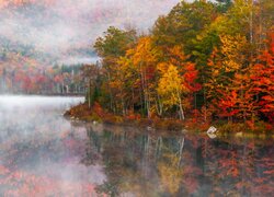 Kolorowe jesienne drzewami i mgła nad lasem i jeziorem