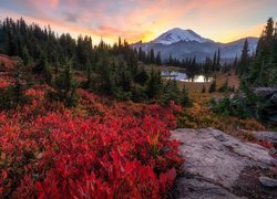 Stany Zjednoczone, Stan Waszyngton, Park Narodowy Mount Rainier, Góry, Lasy, Jezioro, Drzewa, Skały, Kolorowa, Roślinność