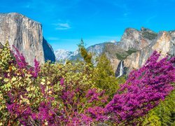 Park Narodowy Yosemite, Góry, Drzewa, Krzewy, Stan Kalifornia, Stany Zjednoczone