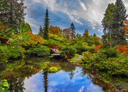 Kolorowe krzewy nad stawem w ogrodzie Kubota Garden