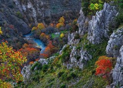 Kolorowe krzewy w wąwozie Vikos Gorge