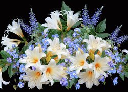 Kwiaty, Bukiet, Białe, Lilie, Niebieskie, Kwiatki, Liście, Czarne, Tło